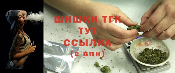 тгк Абинск