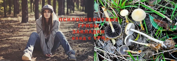 ALPHA PVP Алексин