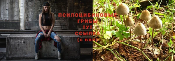 тгк Абинск