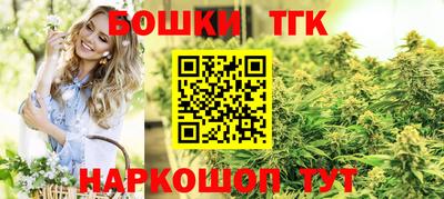дживик Можга