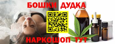 дживик Можга