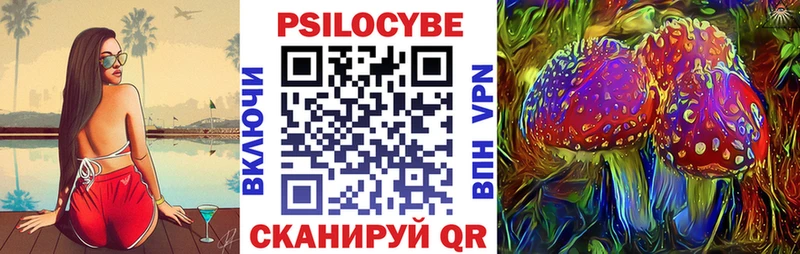 как найти   Топки  Галлюциногенные грибы прущие грибы 