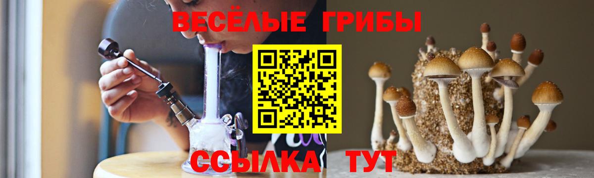 Галлюциногенные грибы мицелий Топки
